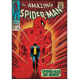 Amazing Spiderman Issue #50 Comic Cover Giant Wall Decal