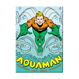 Aquaman Magnet